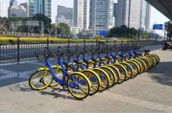 [详细教程]天津工厂招聘信息最新招聘2021_哔哩哔哩